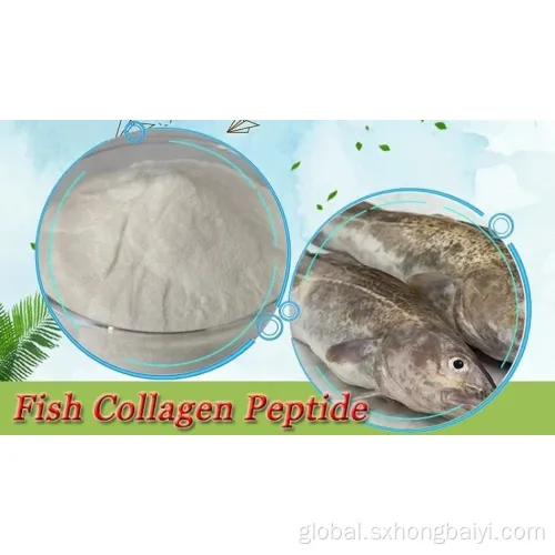 Fish Collagen for Cosmetics Beauty Anti-Aging Healthy Food Fish Collagen Supplements Manufactory